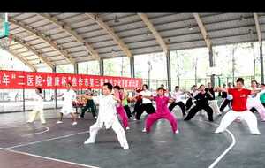 Master FU class at 15th Chen Zhenglei advanced training 2013